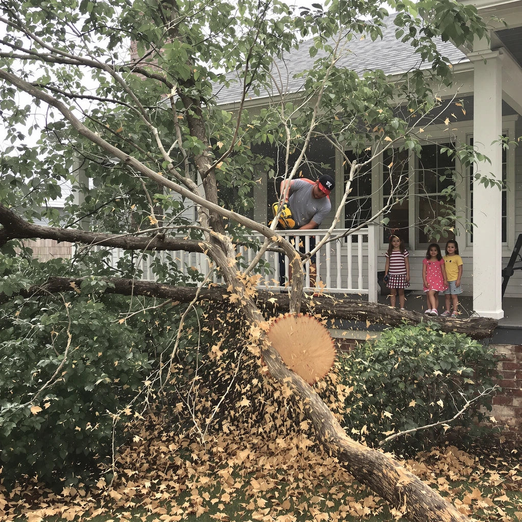 60V Cordless Chainsaw – TimberVibe 16"