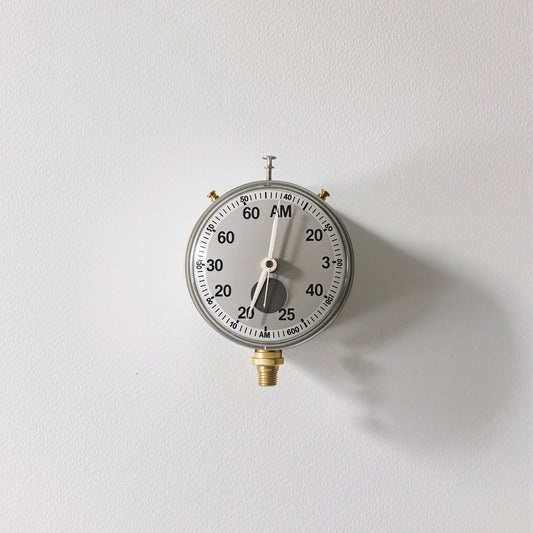 12-Outlet Garden Timer – DualCycle WaterMaster